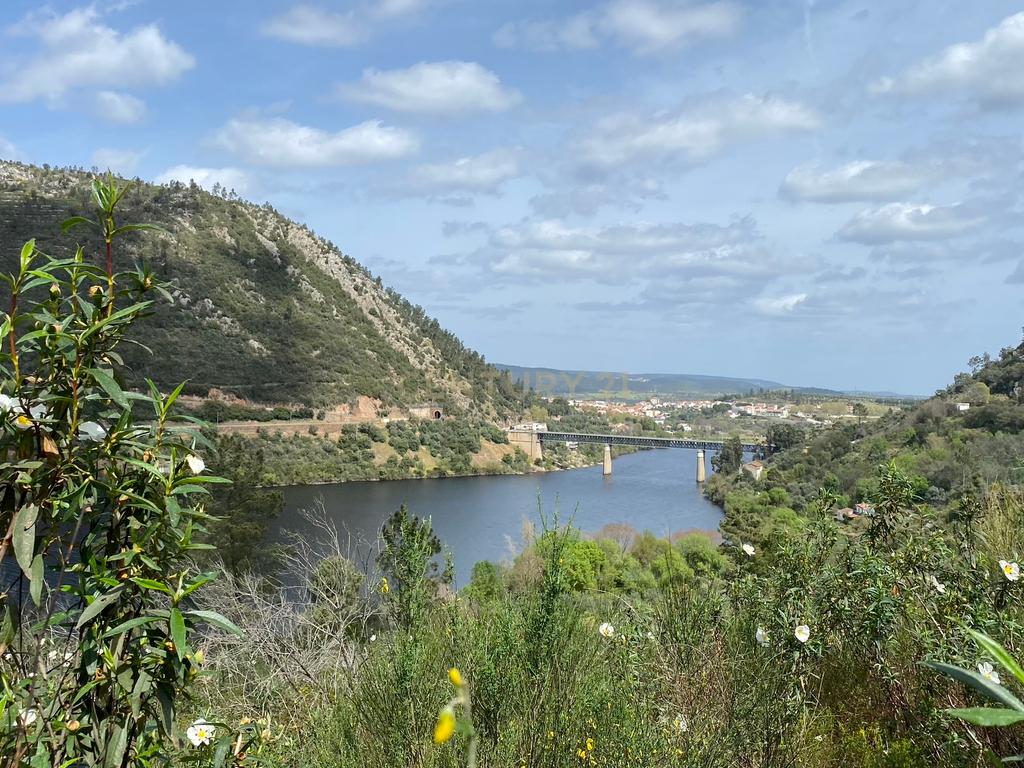 Terreno Rústico às Portas de Rodão com Quota de Rio, Vila Velha de Ródão - Image 2