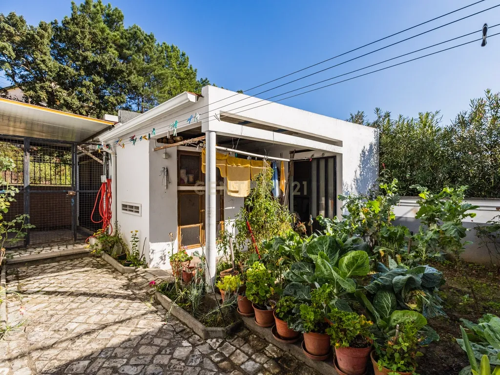Prédio com 2 Apartamentos T3 para Venda! Oportunidade de Investimento! - Image 6
