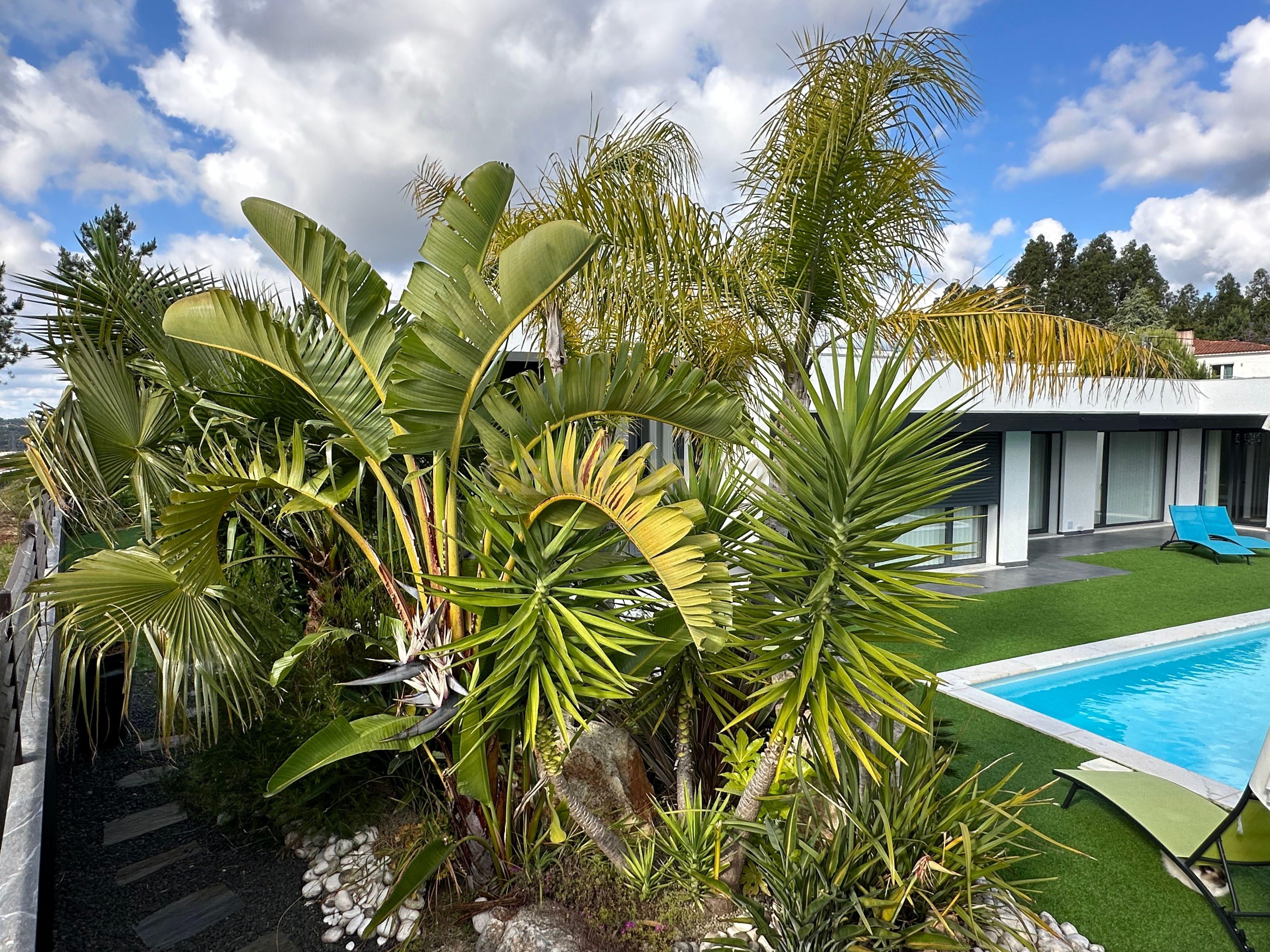 Espaçosa Moradia Térrea Pousos, Leiria: Um Refúgio de Conforto e Elegância - Image 32