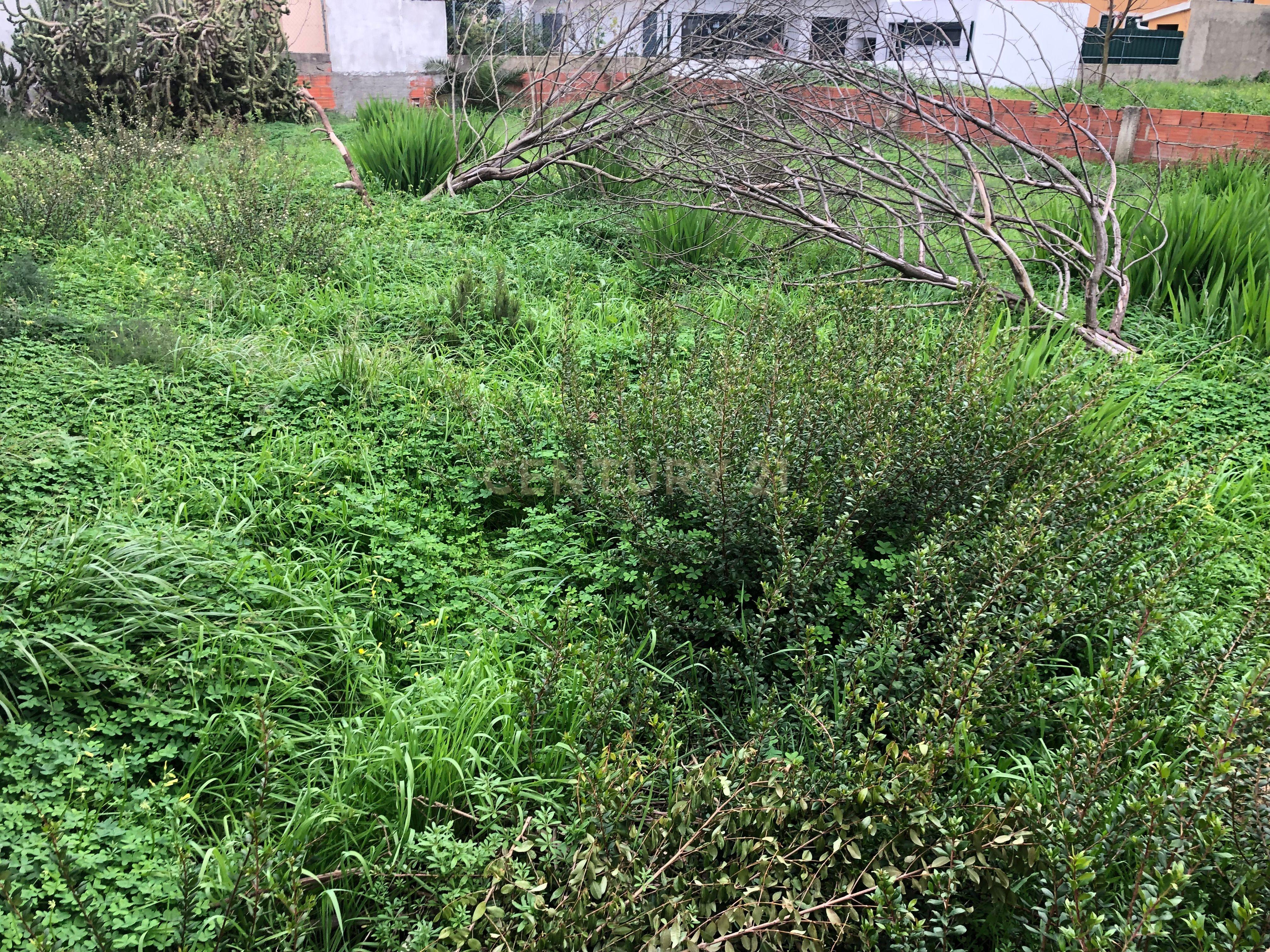 Terreno Urbano - Vale Bom/ Aroeira - Image 18