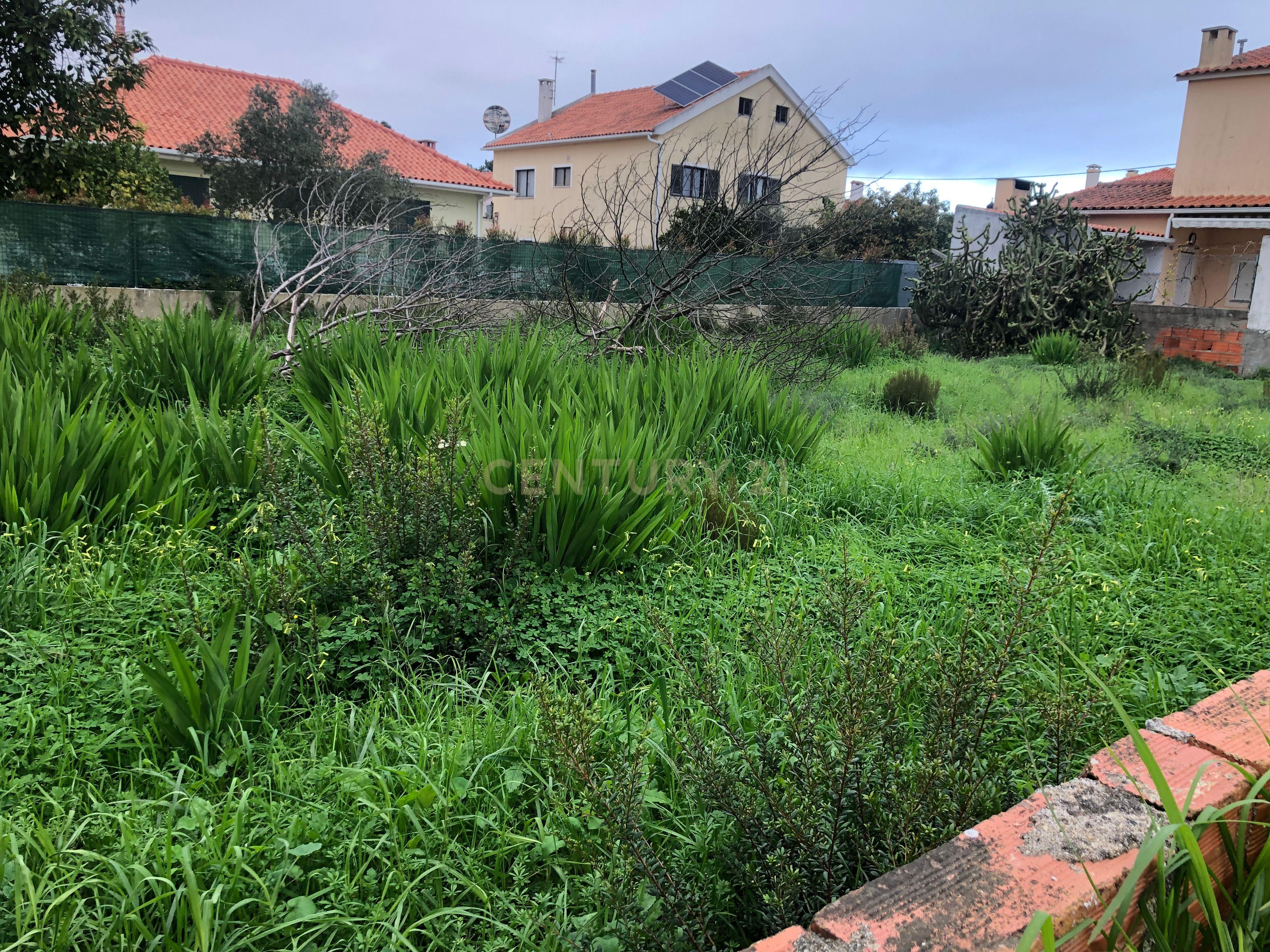 Terreno Urbano - Vale Bom/ Aroeira - Image 1