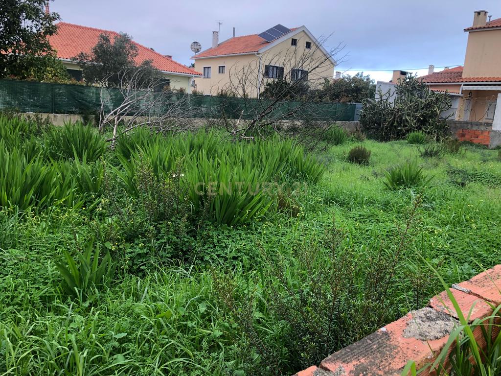 Terreno Urbano - Vale Bom/ Aroeira - Image 1