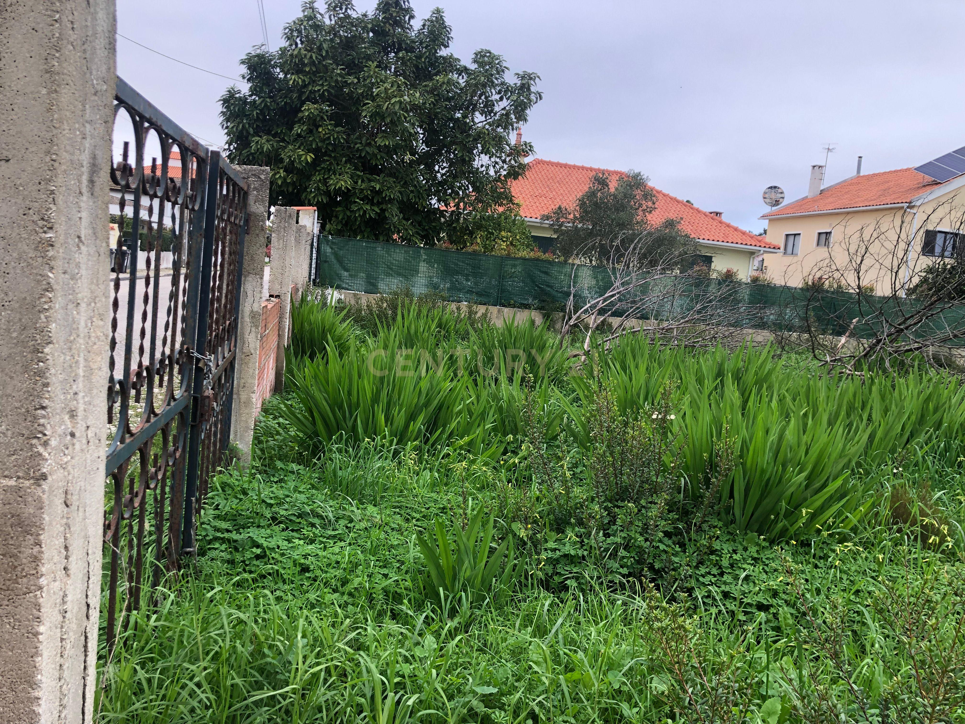 Terreno Urbano - Vale Bom/ Aroeira - Image 7