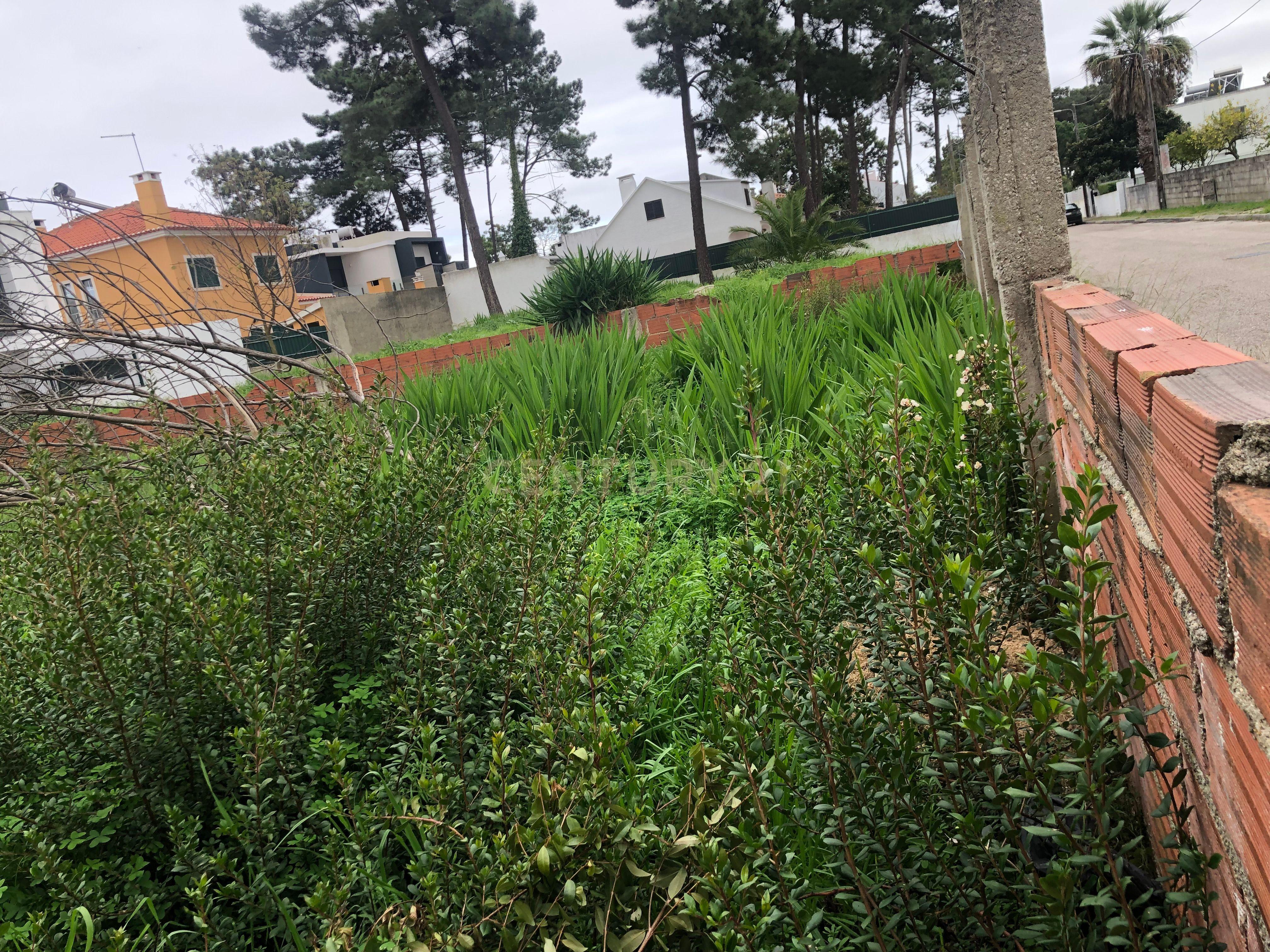 Terreno Urbano - Vale Bom/ Aroeira - Image 10
