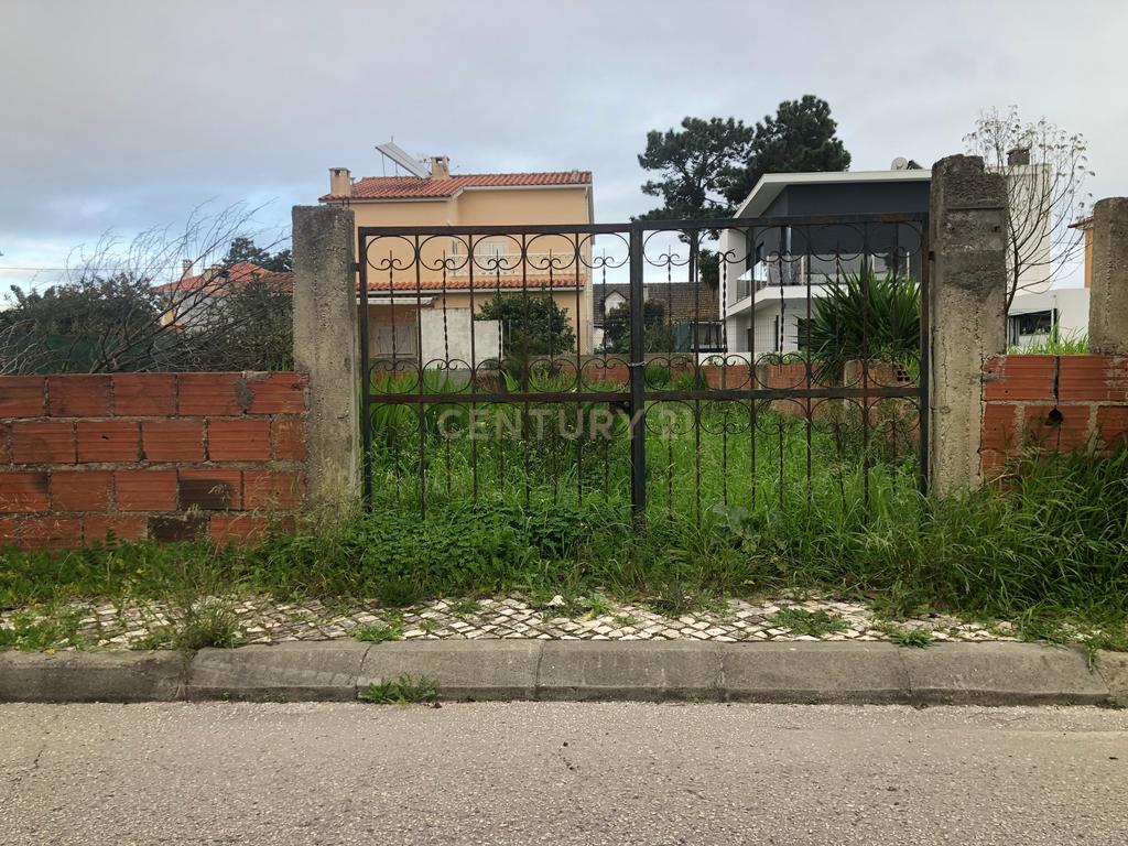 Terreno Urbano - Vale Bom/ Aroeira - Image 6