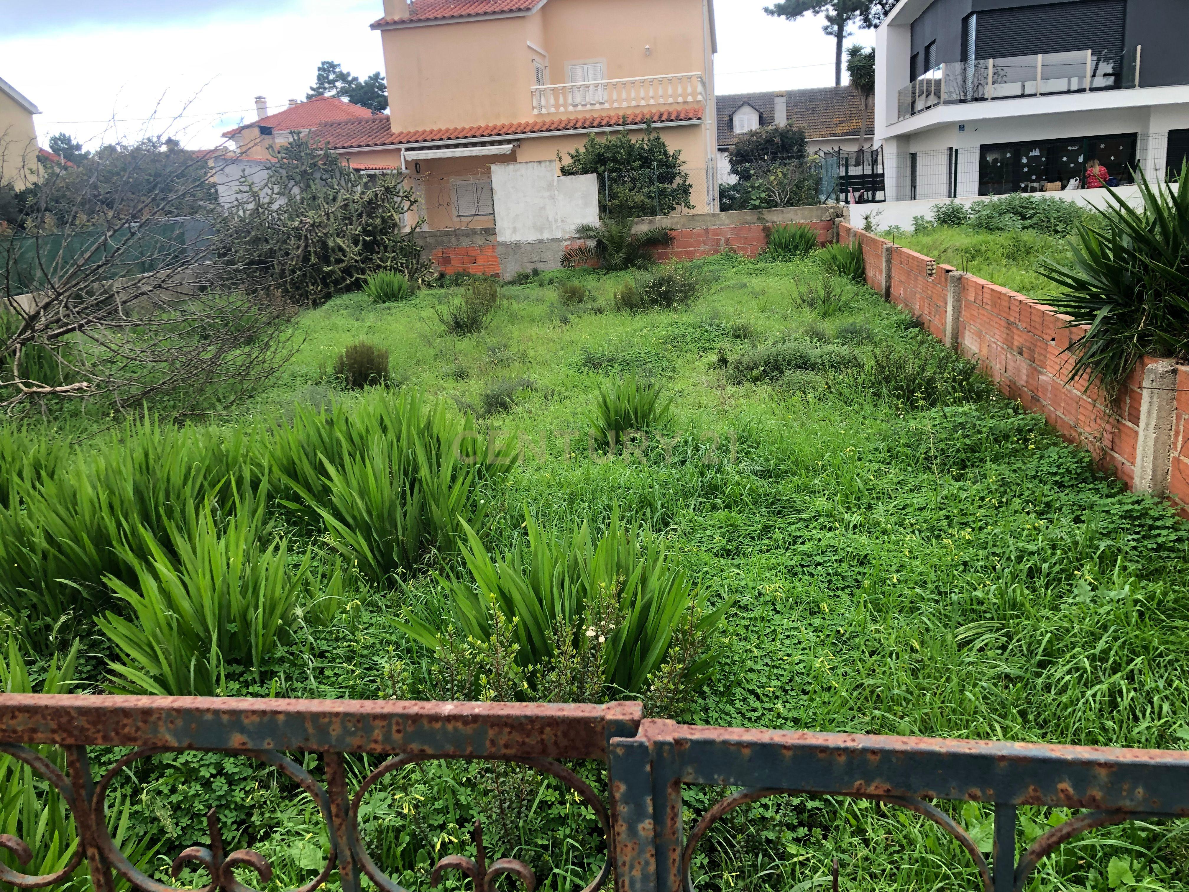 Terreno Urbano - Vale Bom/ Aroeira - Image 5