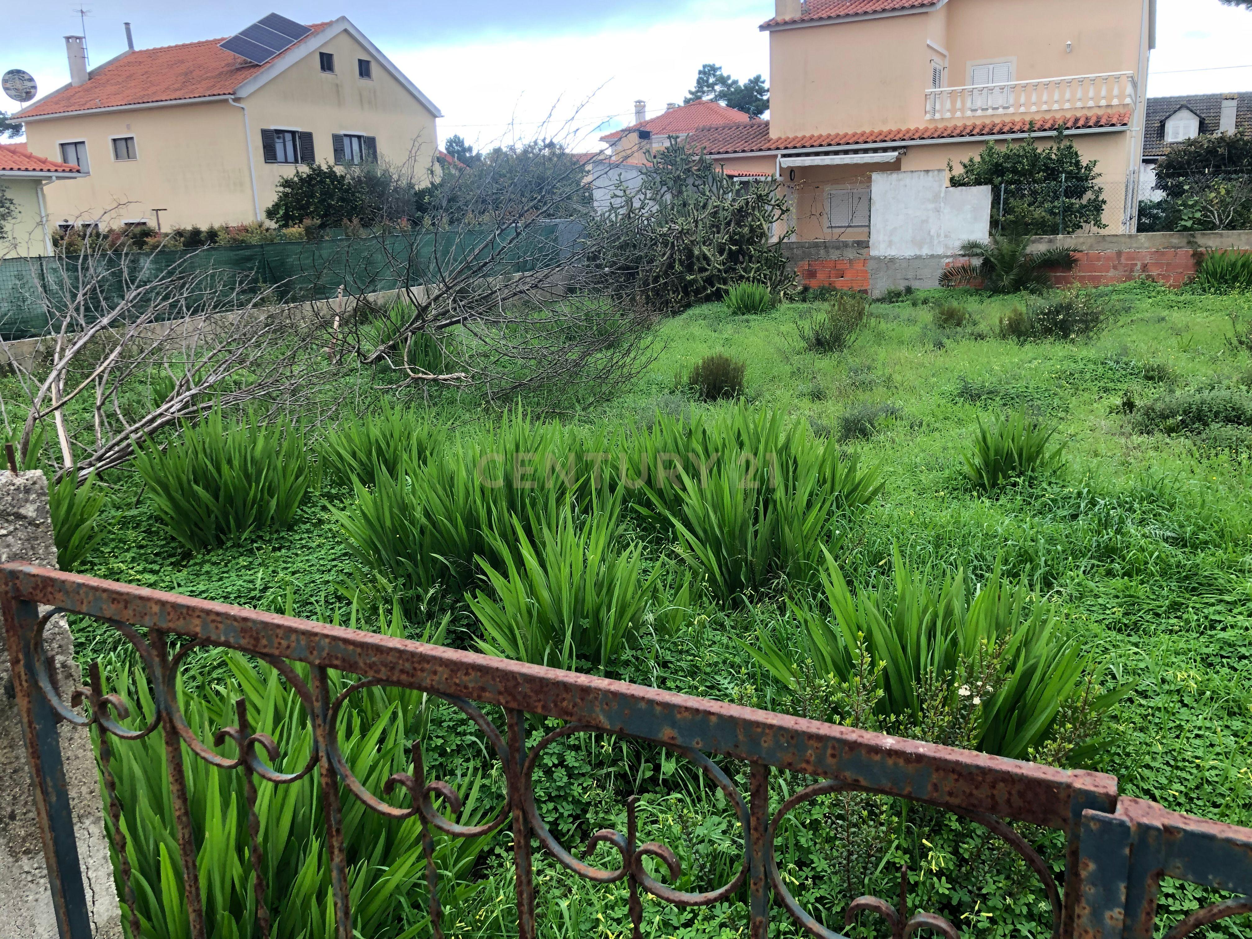 Terreno Urbano - Vale Bom/ Aroeira - Image 3