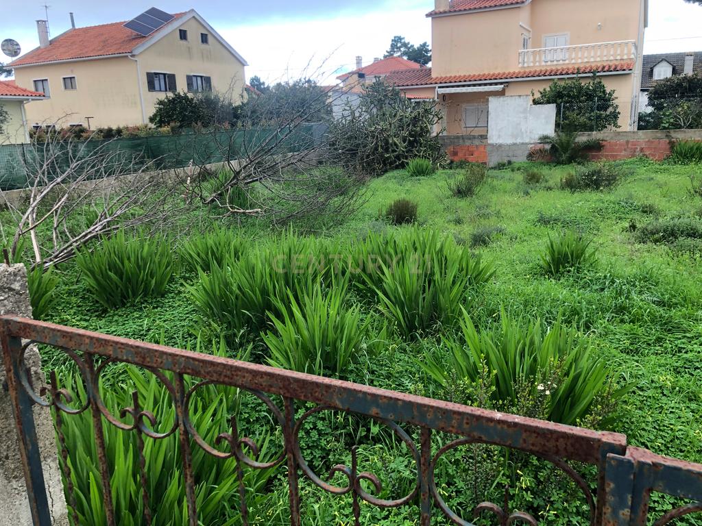 Terreno Urbano - Vale Bom/ Aroeira - Image 3