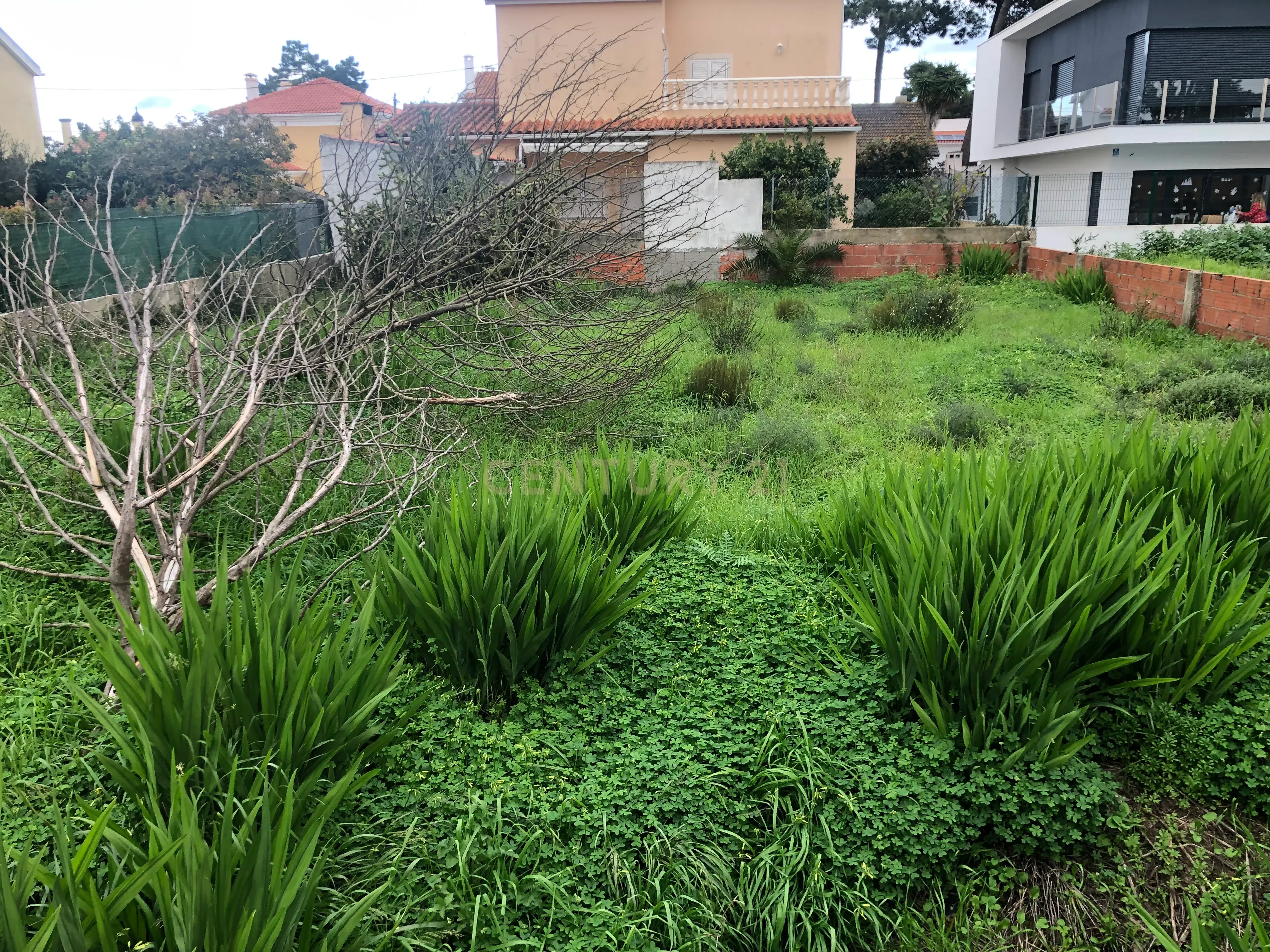Terreno Urbano - Vale Bom/ Aroeira - Image 12
