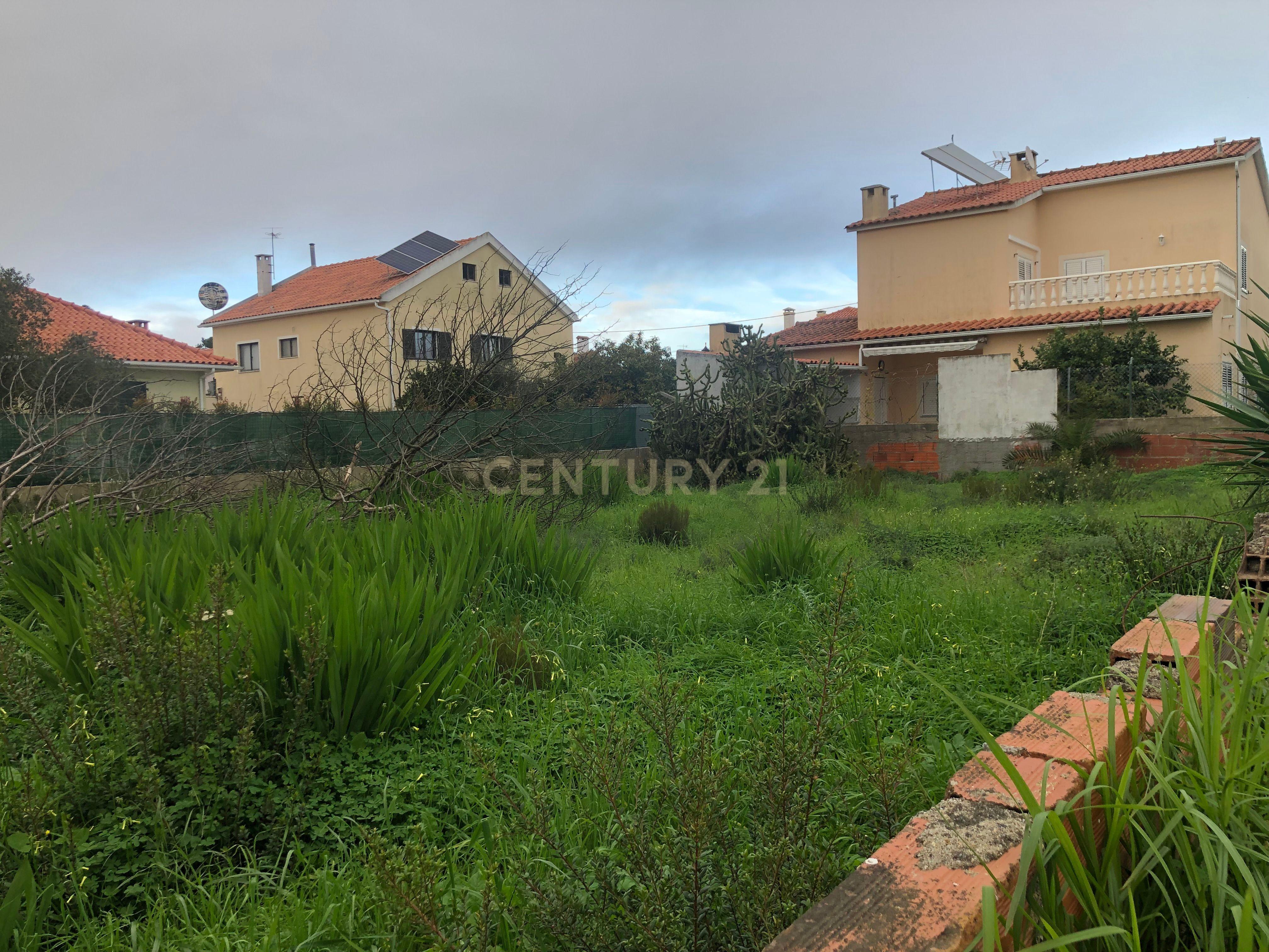 Terreno Urbano - Vale Bom/ Aroeira - Image 13