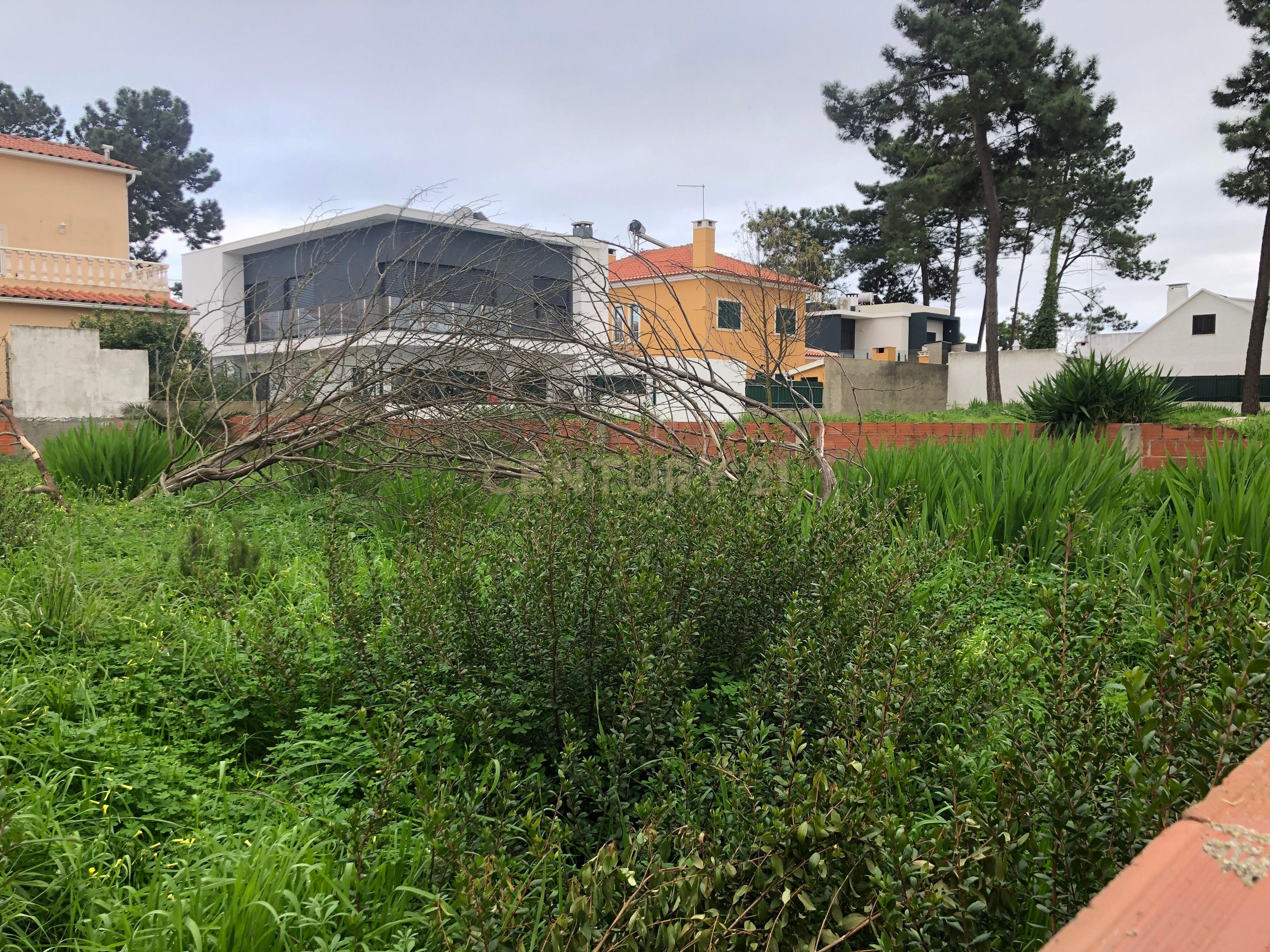 Terreno Urbano - Vale Bom/ Aroeira - Image 4