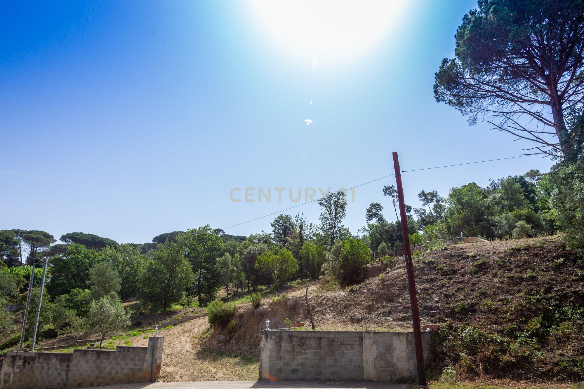 undefined - Image 1