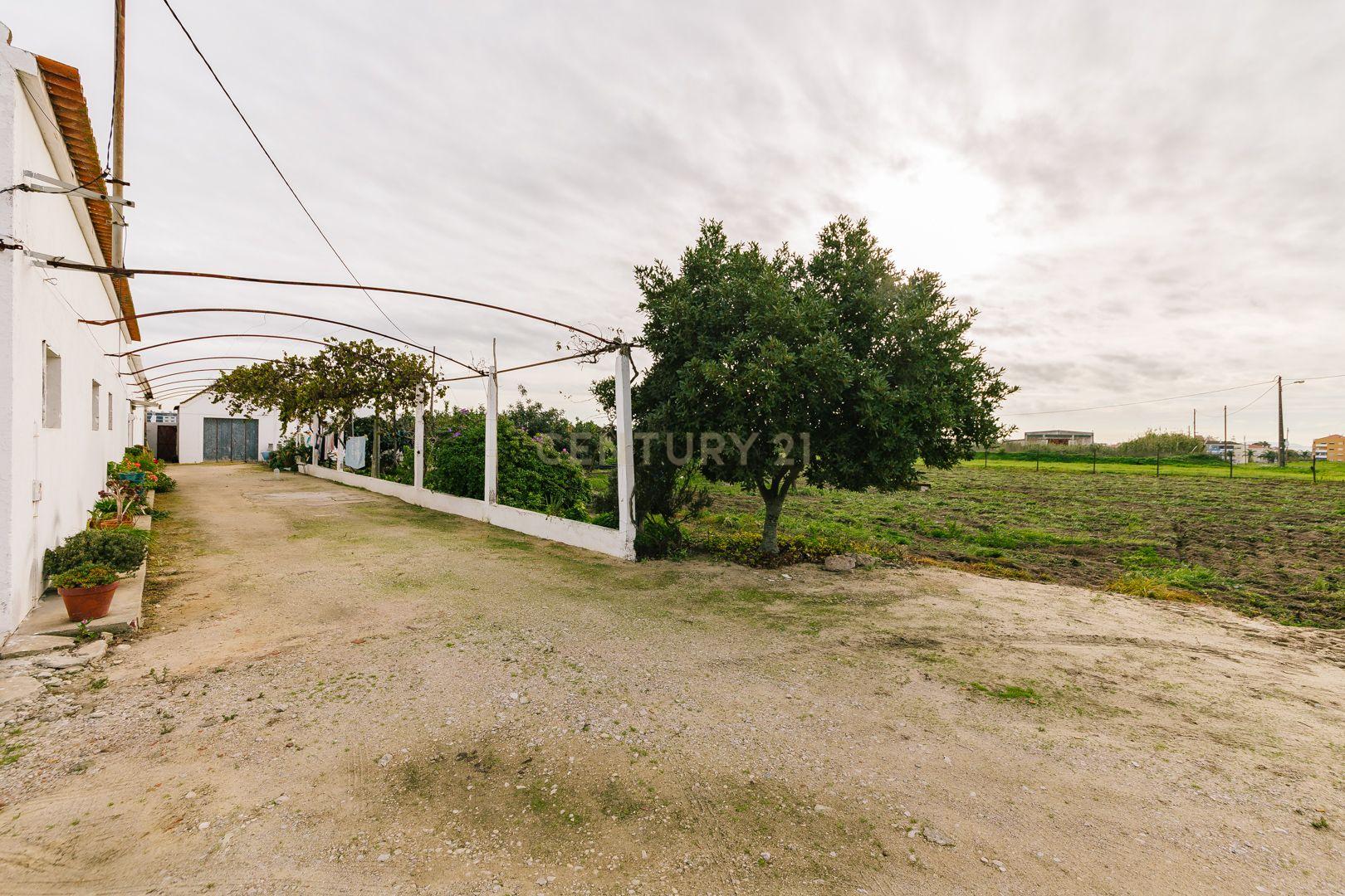 Moradia T2 no Montijo - Image 1