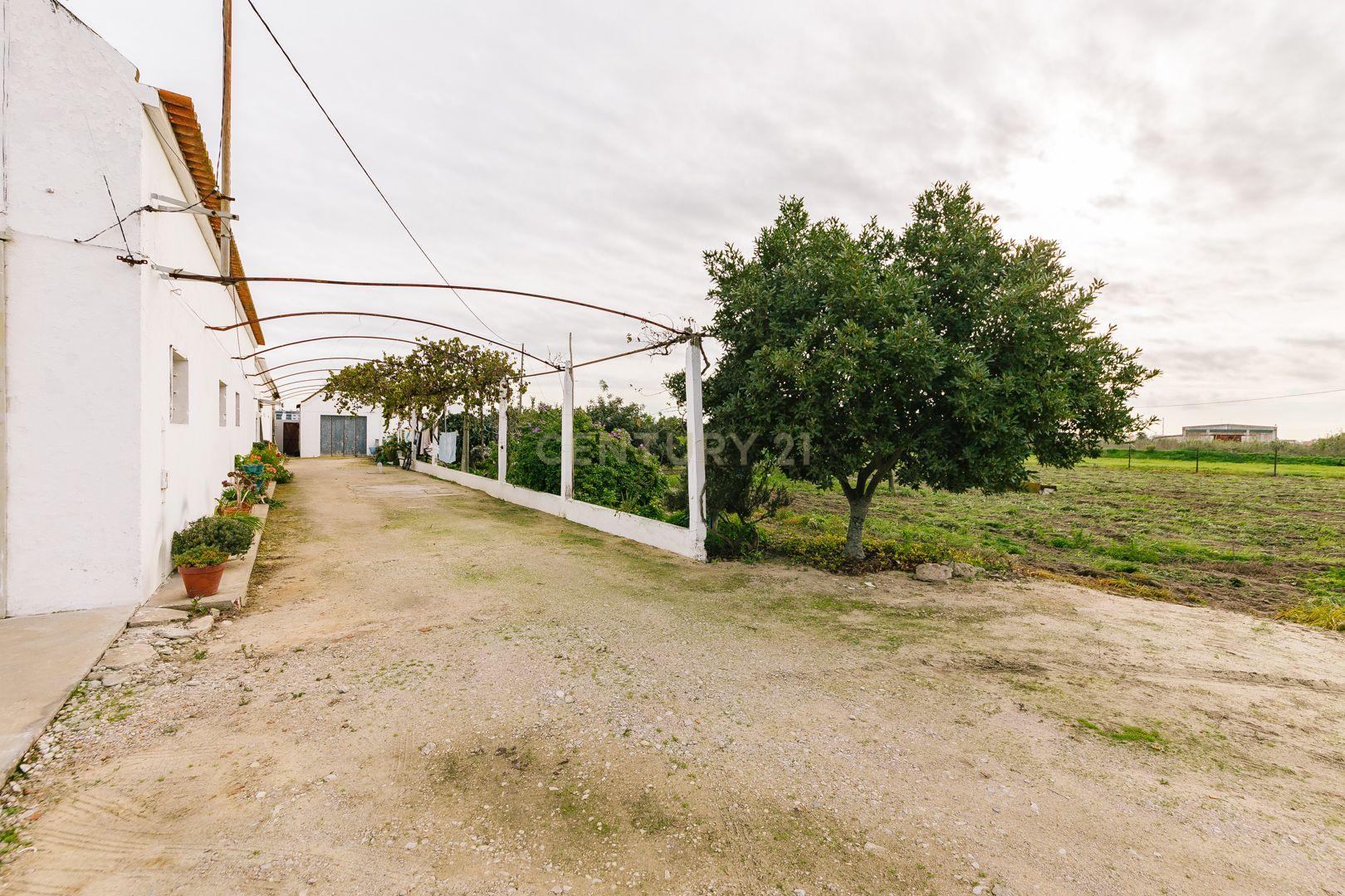 Moradia T2 no Montijo - Image 3
