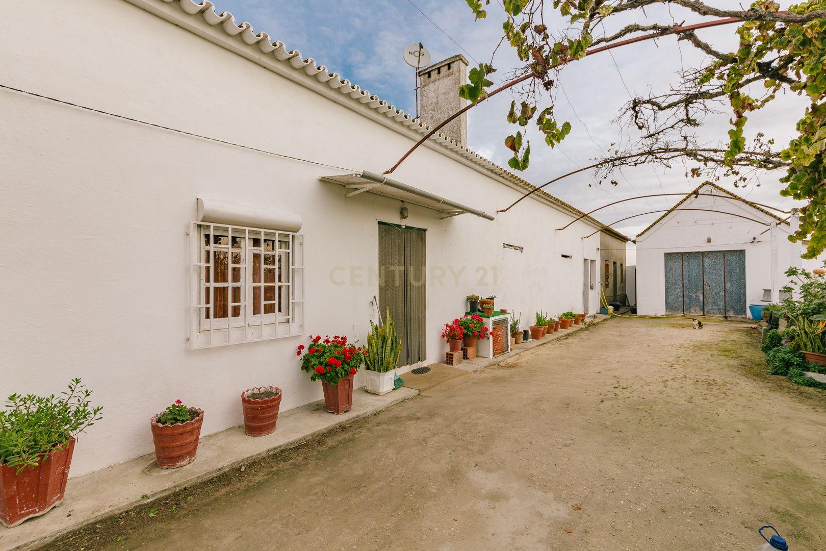 Moradia T2 no Montijo - Image 7