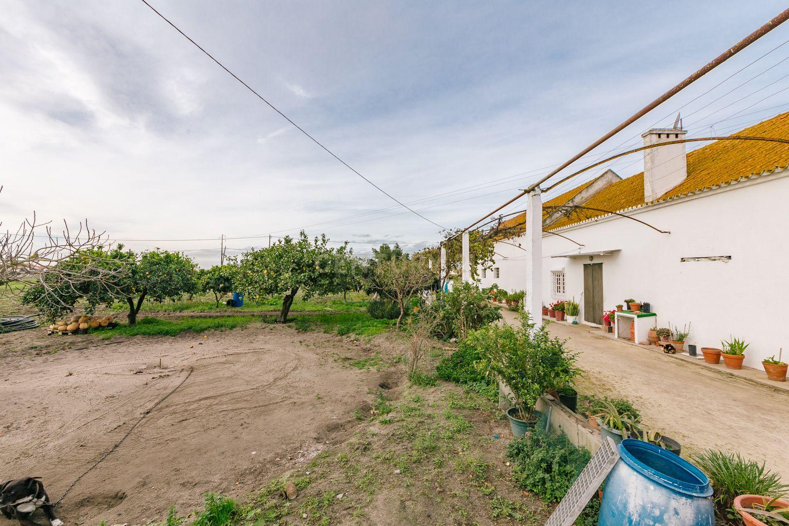 Moradia T2 no Montijo - Image 12