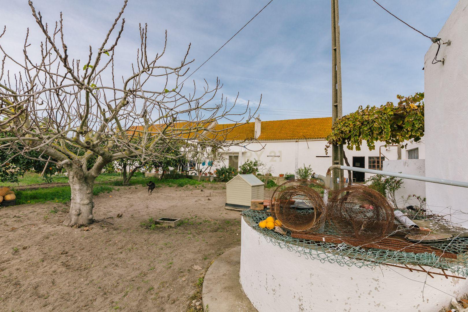 Moradia T2 no Montijo - Image 15