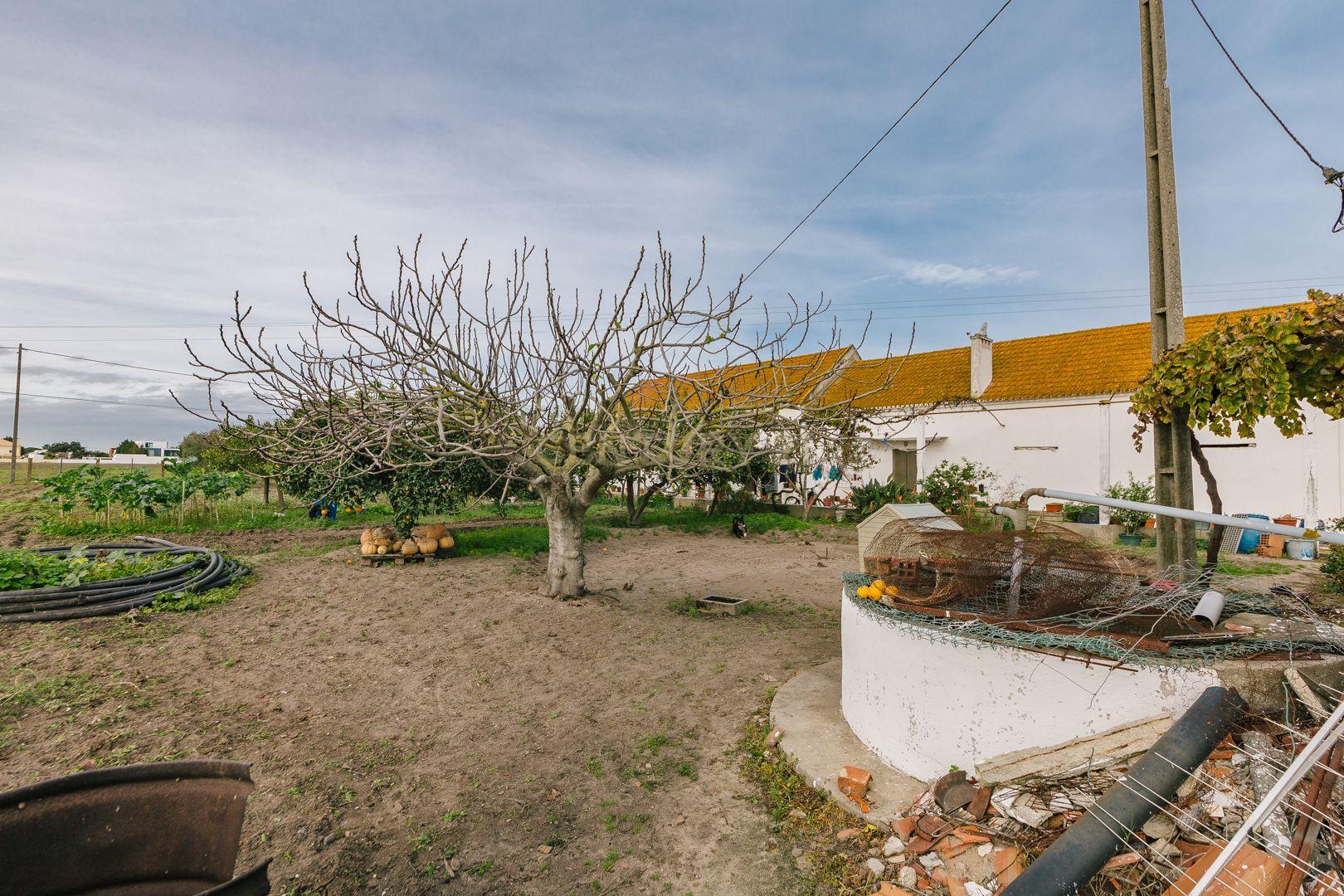 Moradia T2 no Montijo - Image 16