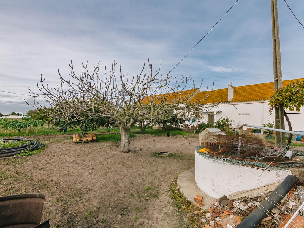 Moradia T2 no Montijo - Image 16