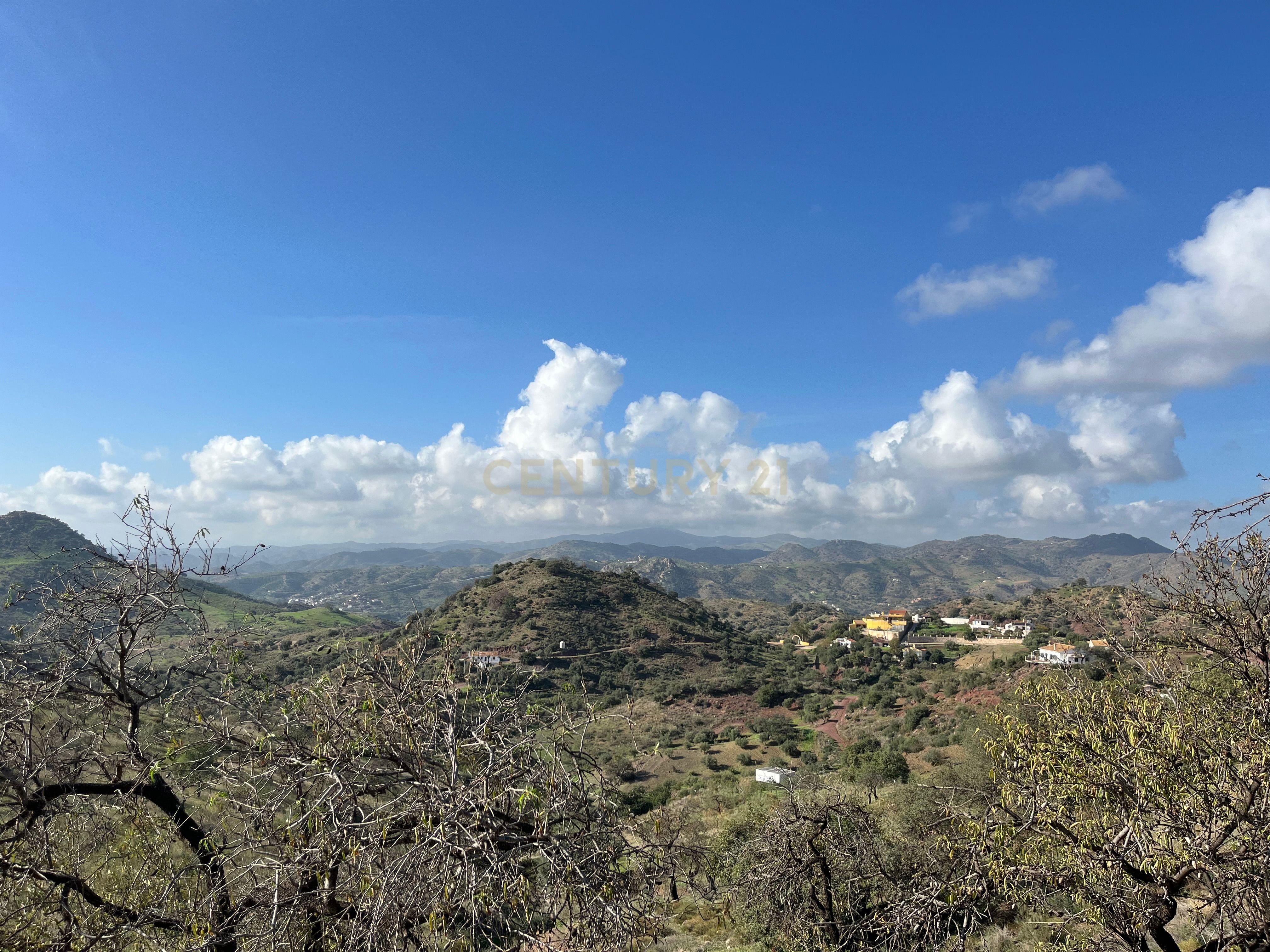 - Image 12