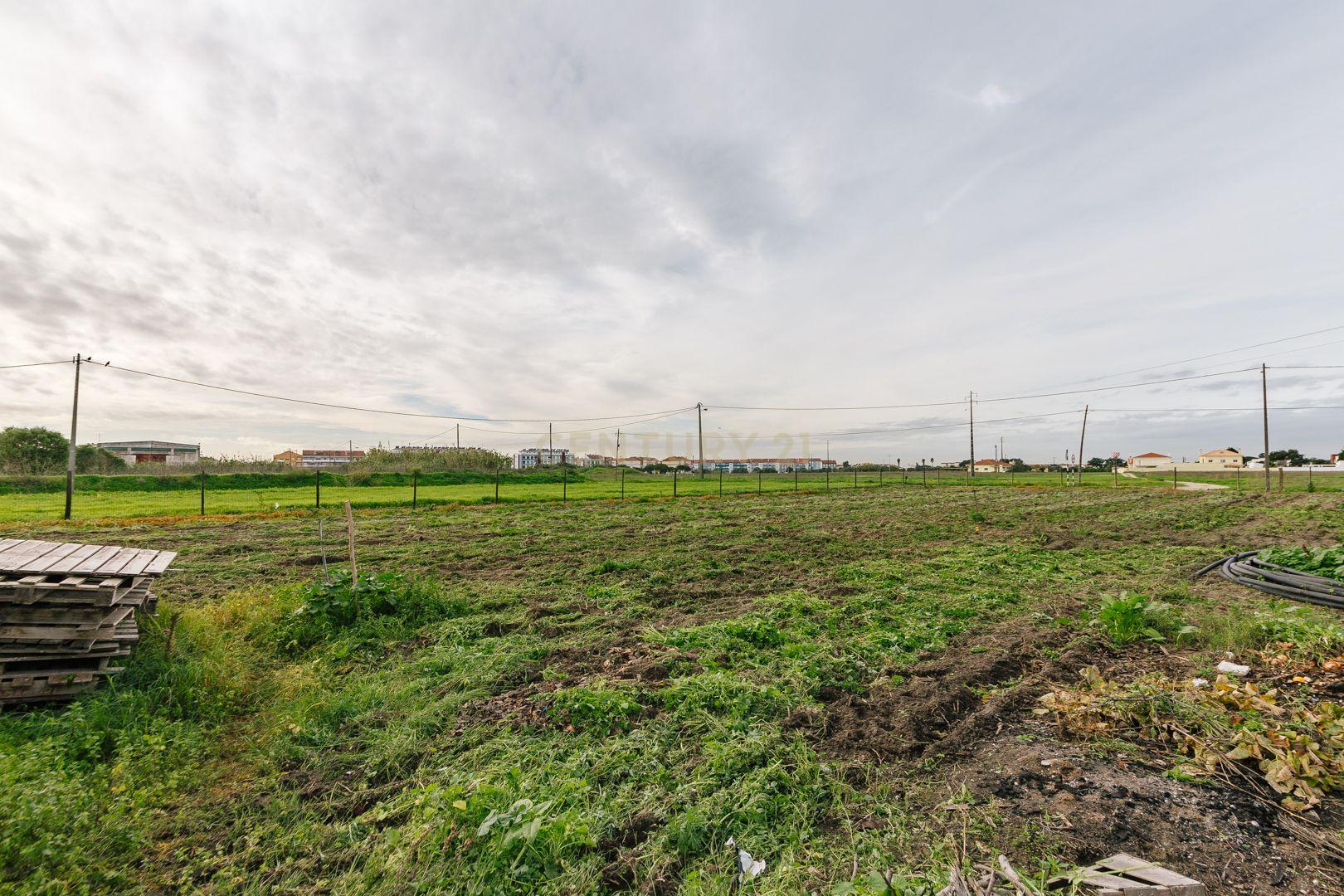 Moradia T2 no Montijo - Image 21
