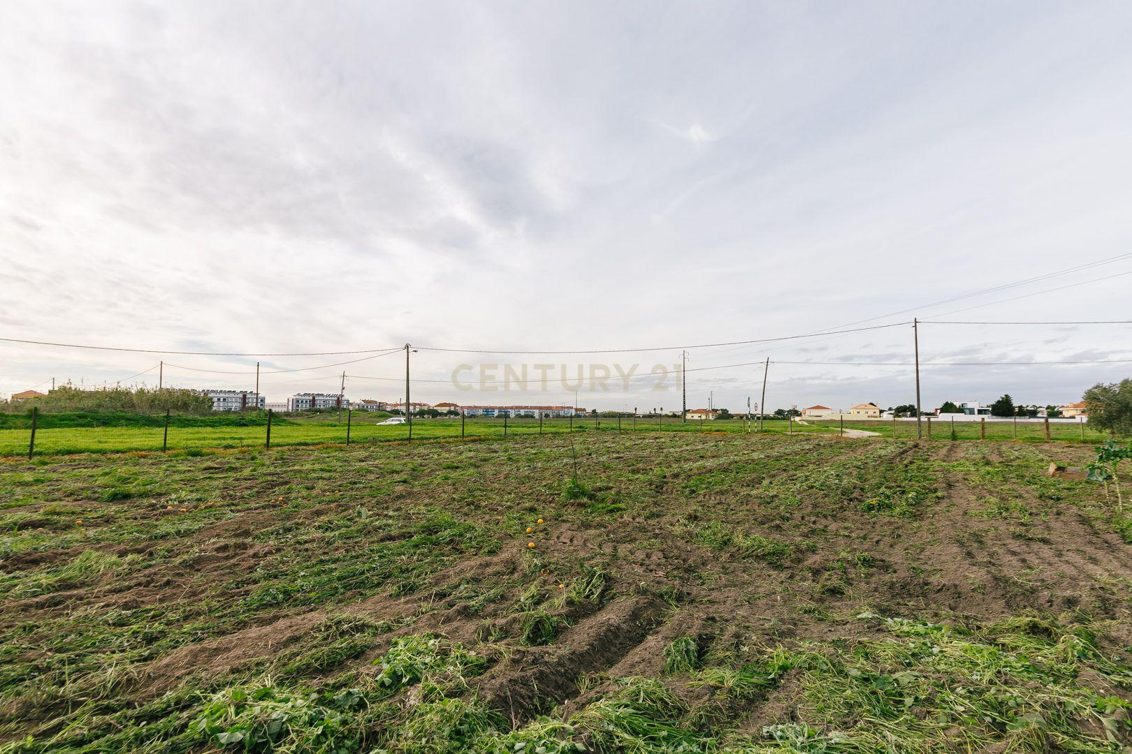 Moradia T2 no Montijo - Image 23