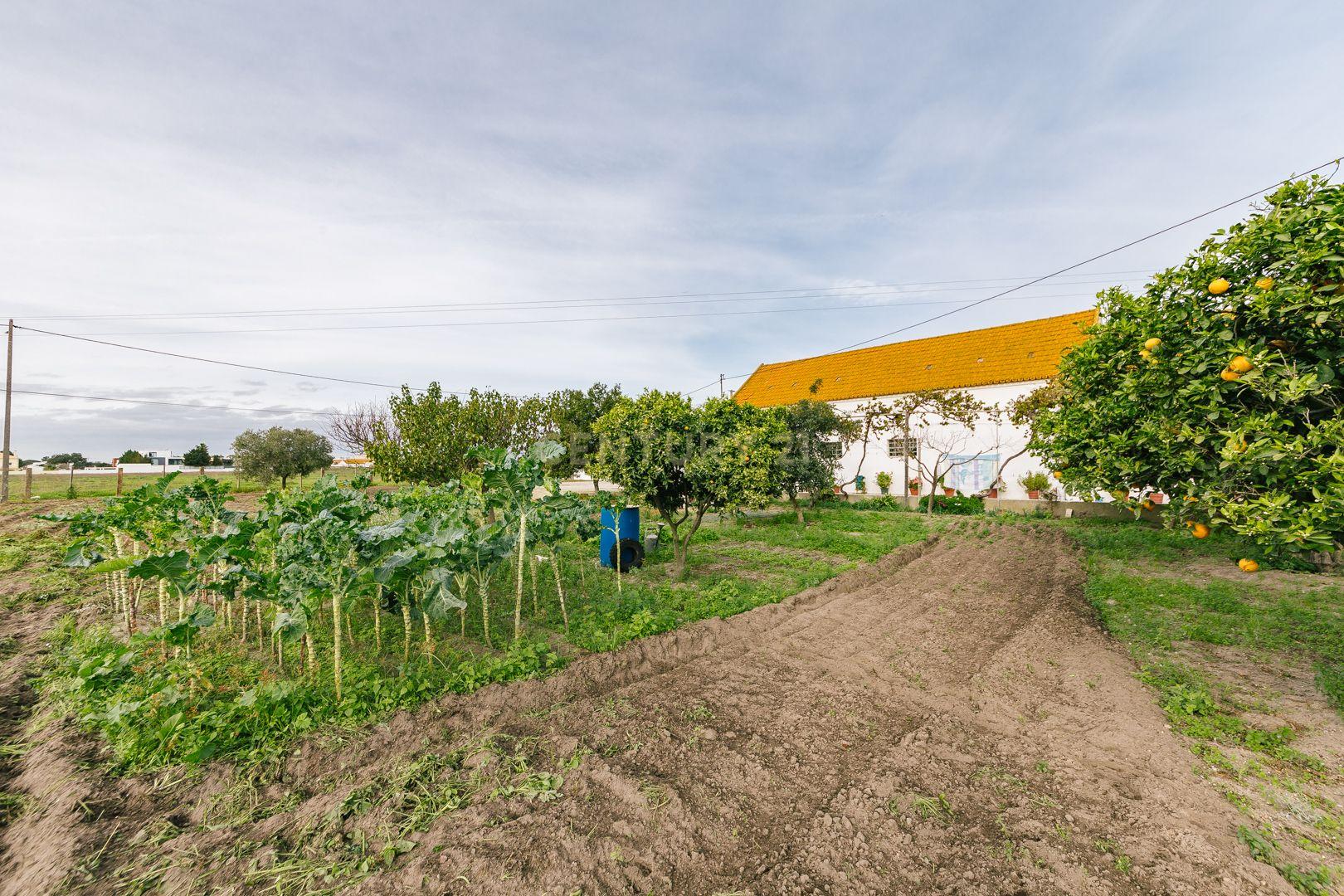 Moradia T2 no Montijo - Image 25
