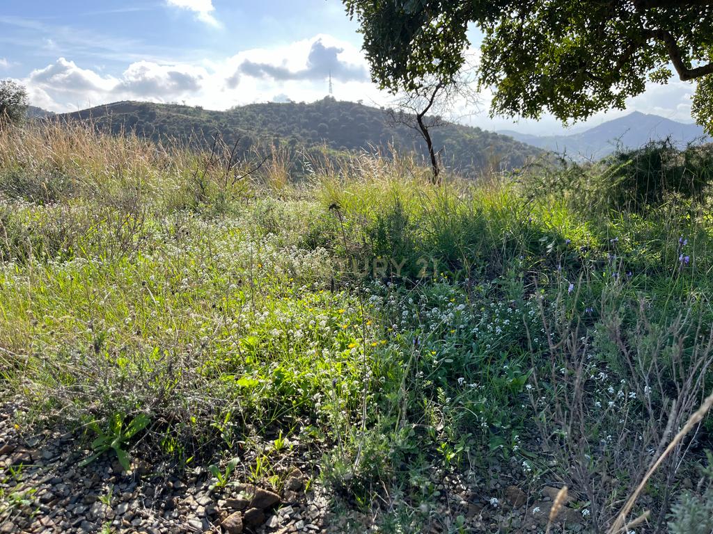  - Image 9