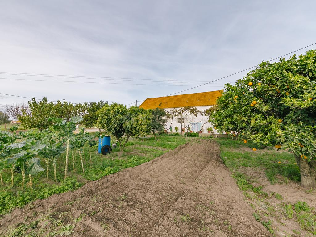 Moradia T2 no Montijo - Image 28