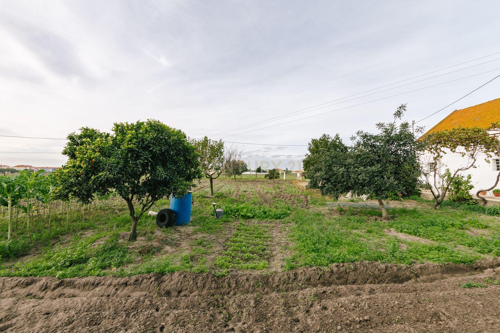 Moradia T2 no Montijo - Image 29