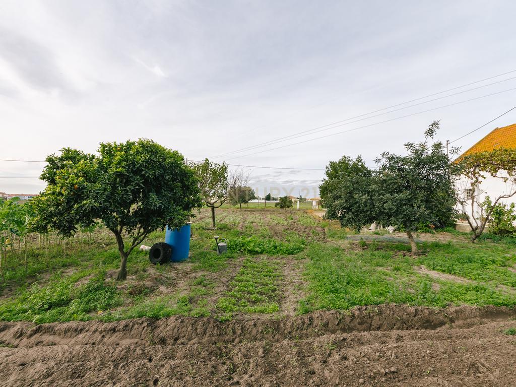 Moradia T2 no Montijo - Image 29