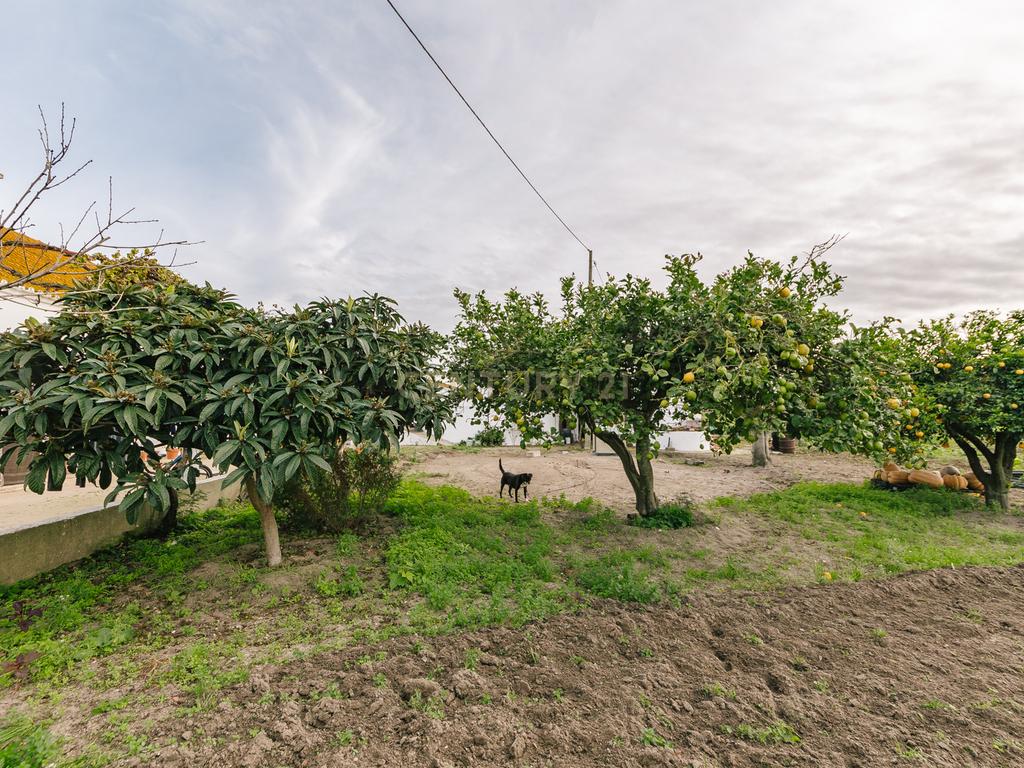 Moradia T2 no Montijo - Image 31