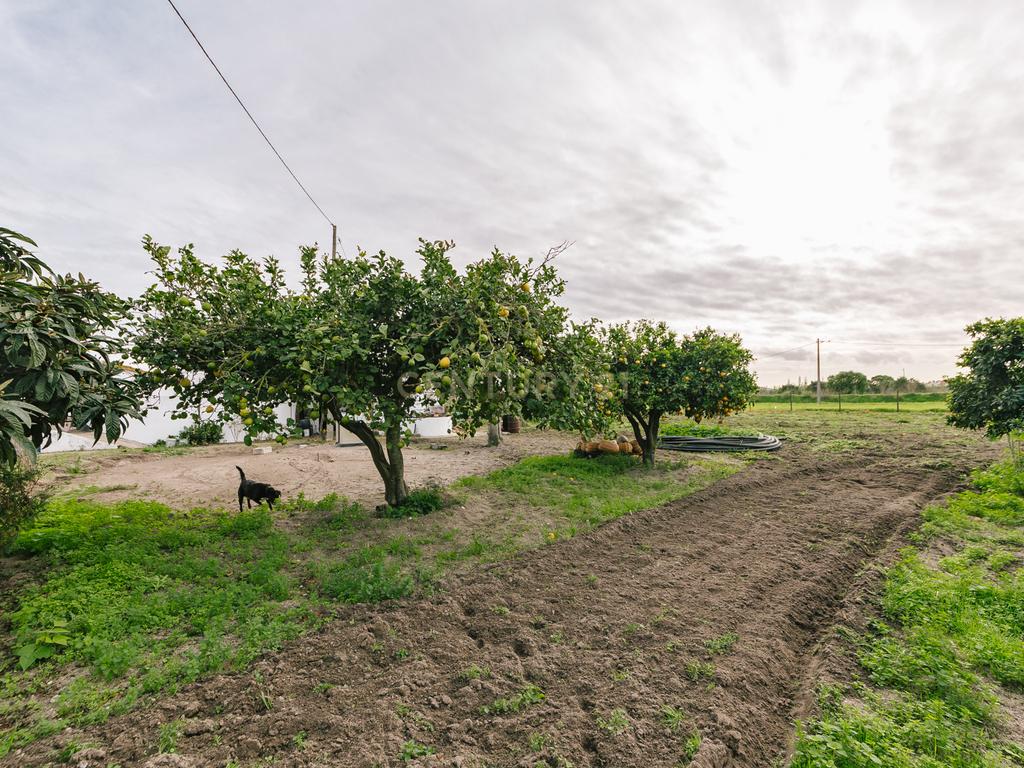 Moradia T2 no Montijo - Image 32