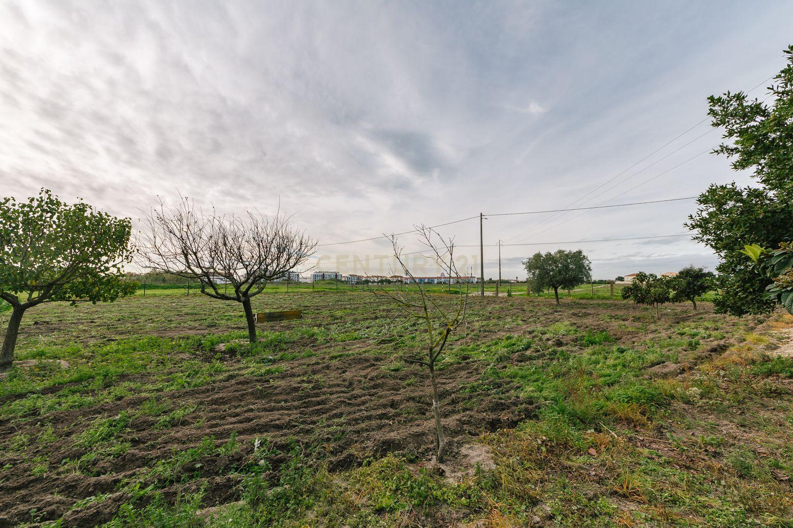 Moradia T2 no Montijo - Image 33
