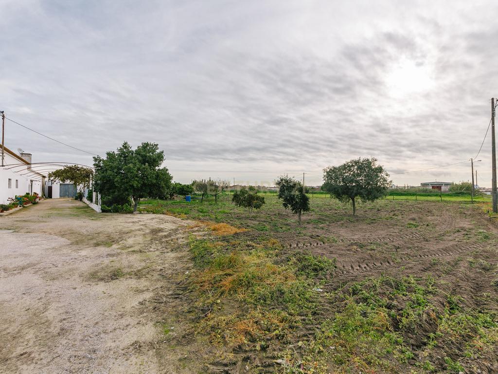 Moradia T2 no Montijo - Image 44