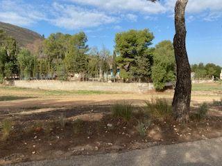 Apartamento - Image 7