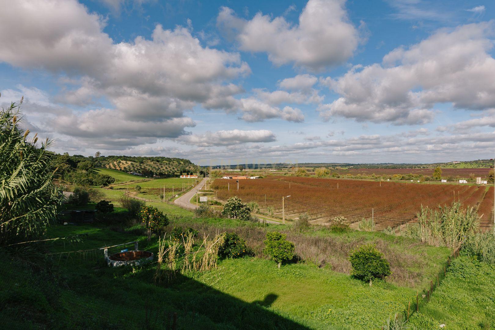 Moradia T3 em Mora - Vista planície alentejana a uma hora de Lisboa - Image 50