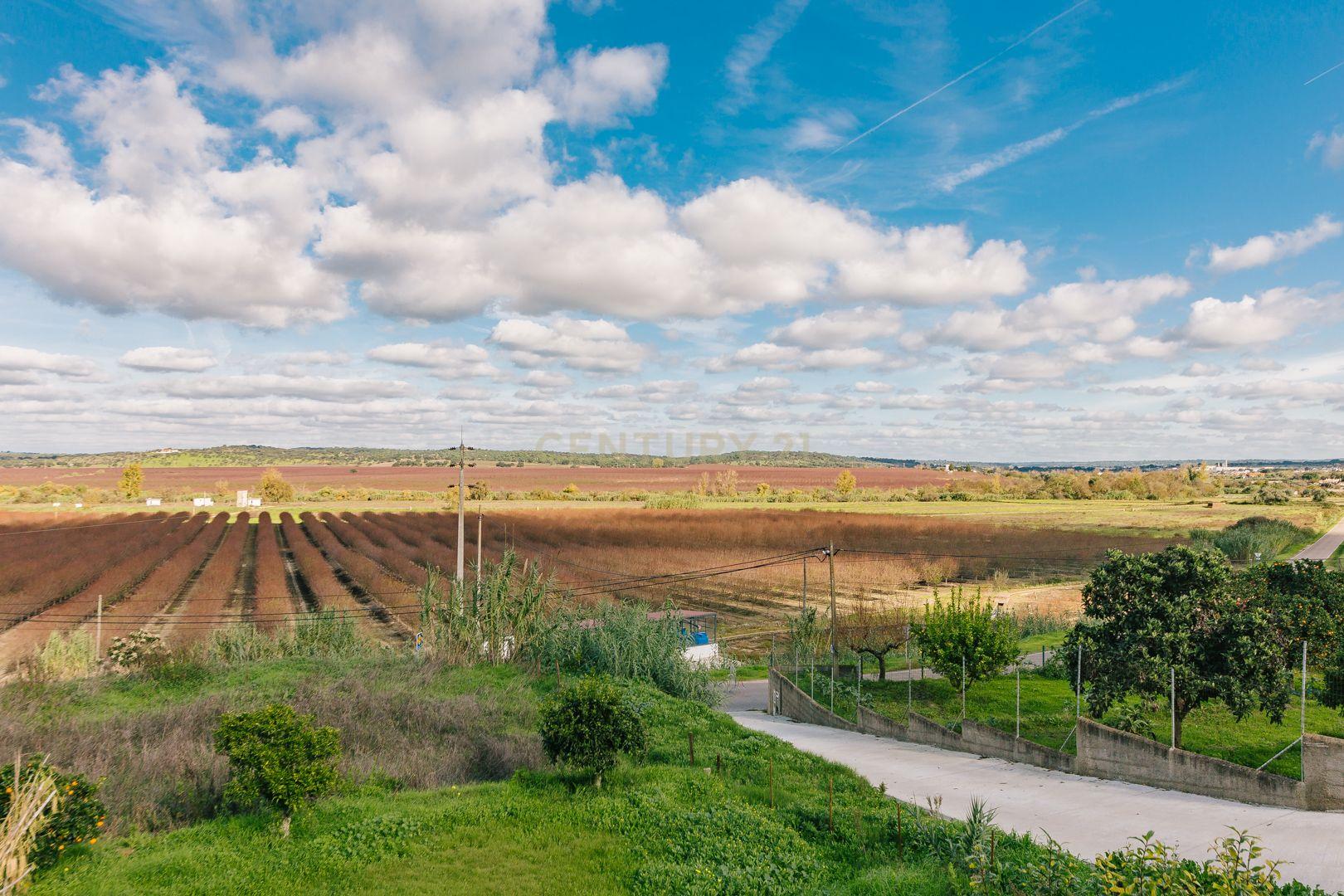 Moradia T3 em Mora - Vista planície alentejana a uma hora de Lisboa - Image 51