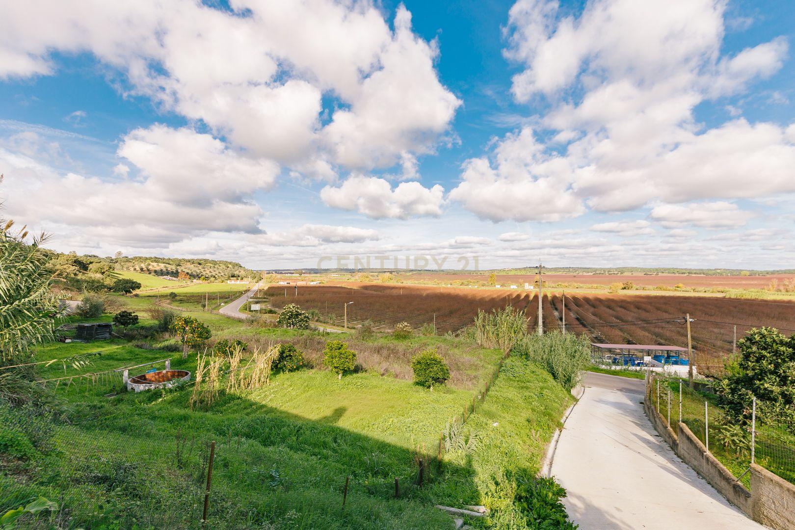 Moradia T3 em Mora - Vista planície alentejana a uma hora de Lisboa - Image 52