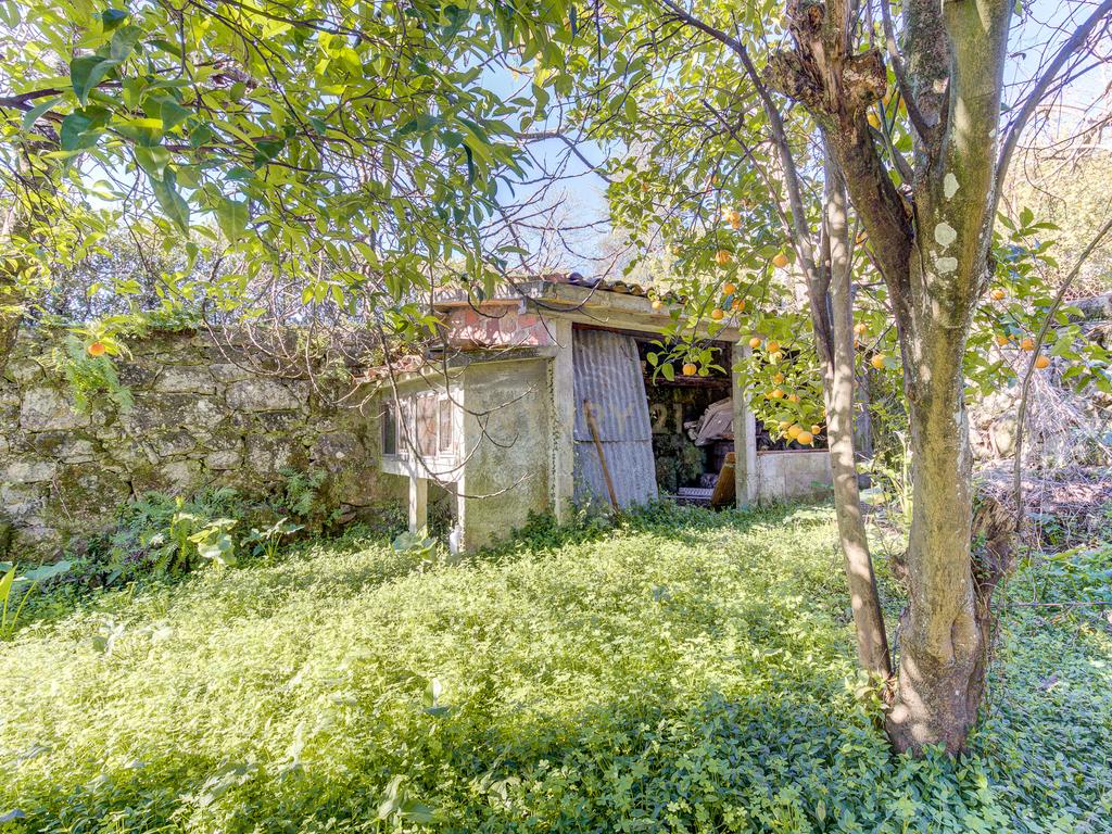 Moradia 6 assoalhadas, 195m2 área construção, 672m2 terreno, com anexo T1 - Image 46