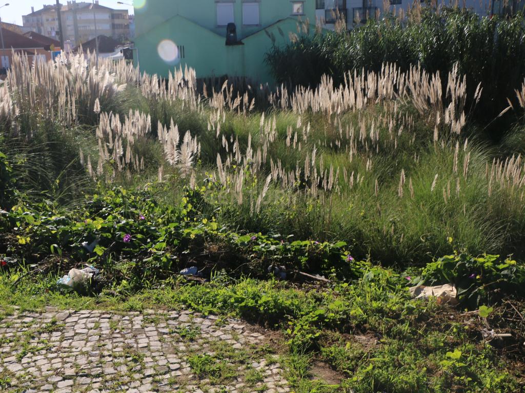 Lote de terreno Urbano com área de 444m2, para construção de moradia - Image 11