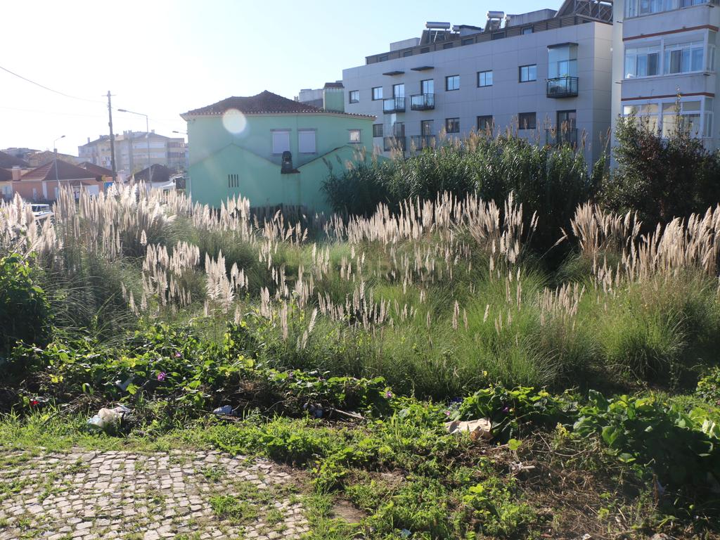 Lote de terreno Urbano com área de 444m2, para construção de moradia - Image 10