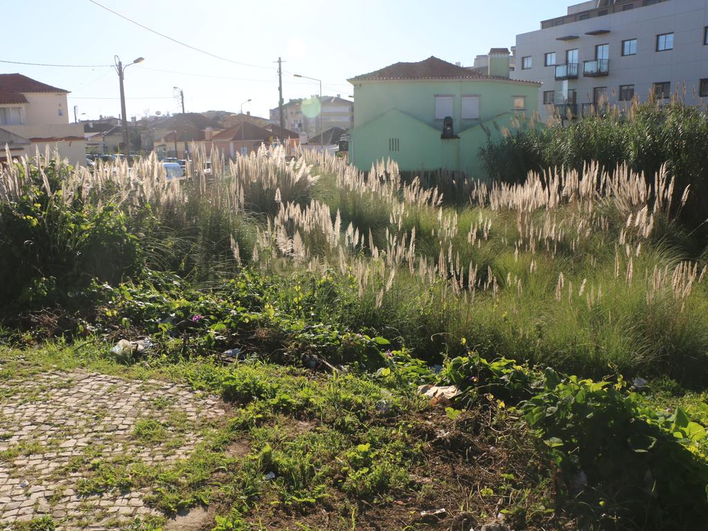 Lote de terreno Urbano com área de 444m2, para construção de moradia - Image 5