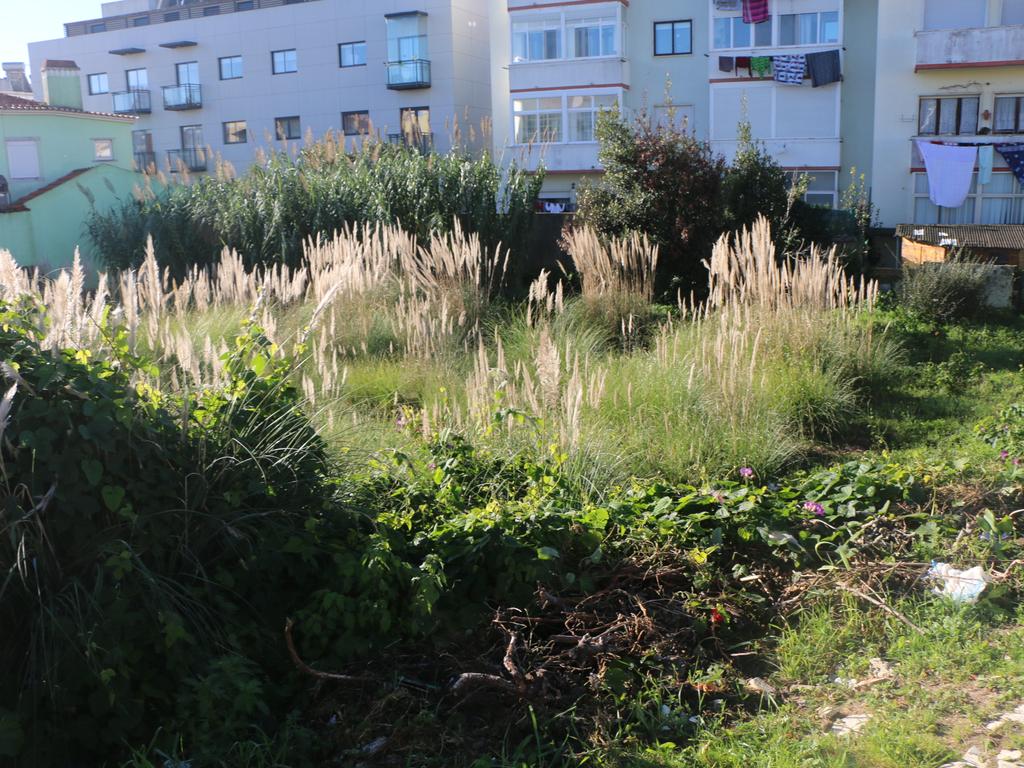 Lote de terreno Urbano com área de 444m2, para construção de moradia - Image 7