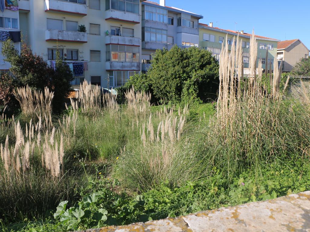 Lote de terreno Urbano com área de 444m2, para construção de moradia - Image 8