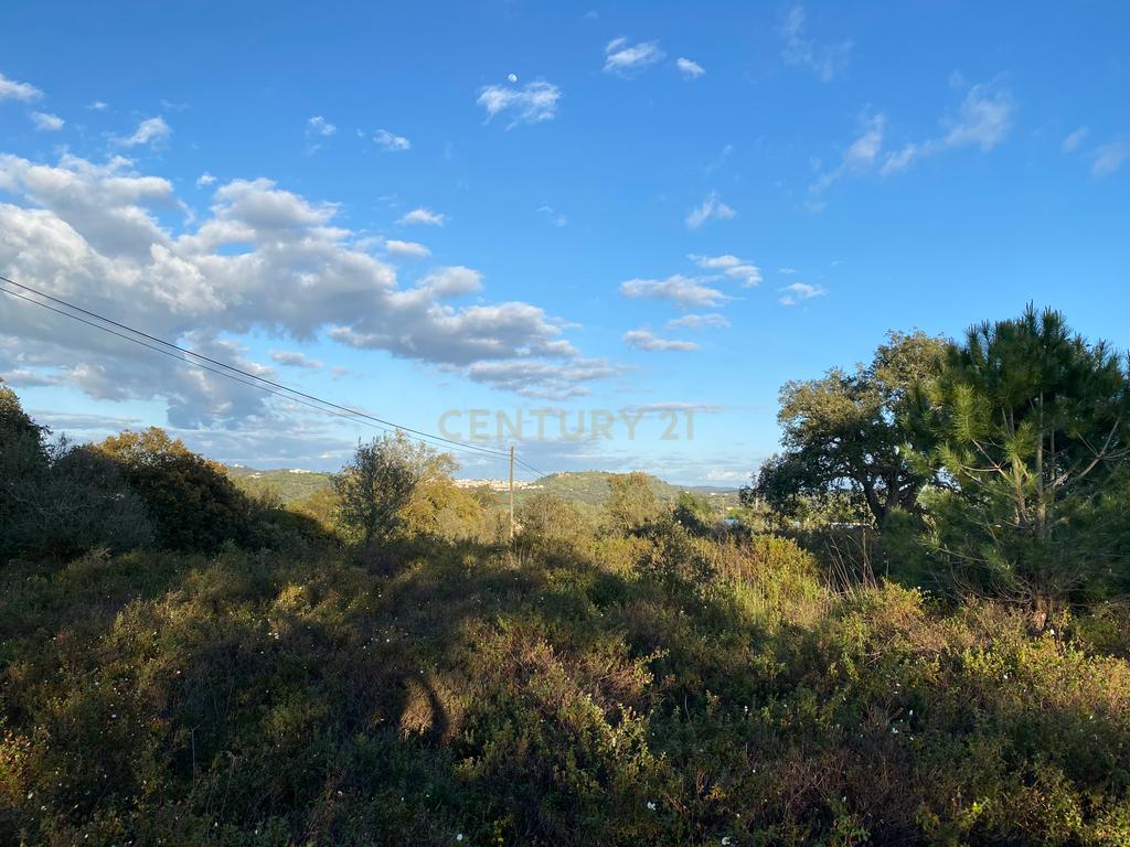 Carapeta e Olival - Terreno rústico com área de74.500m2, com poço e árvores, PIP e situado junto a Montemor-o-Novo - Image 26