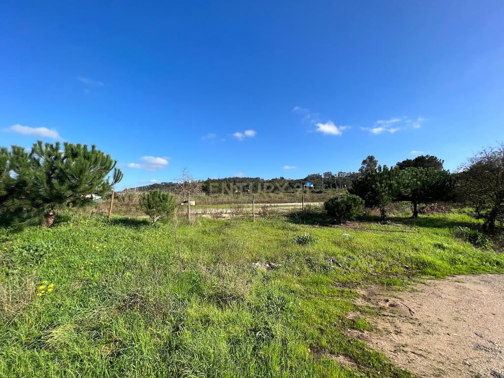Terreno com 2 artigos a área total de 11.760 m2 com possibilidade de construção - Image 1