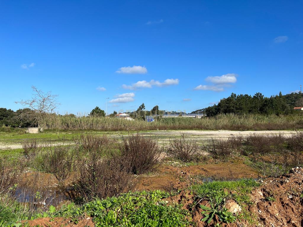 Terreno com 2 artigos a área total de 11.760 m2 com possibilidade de construção - Image 5