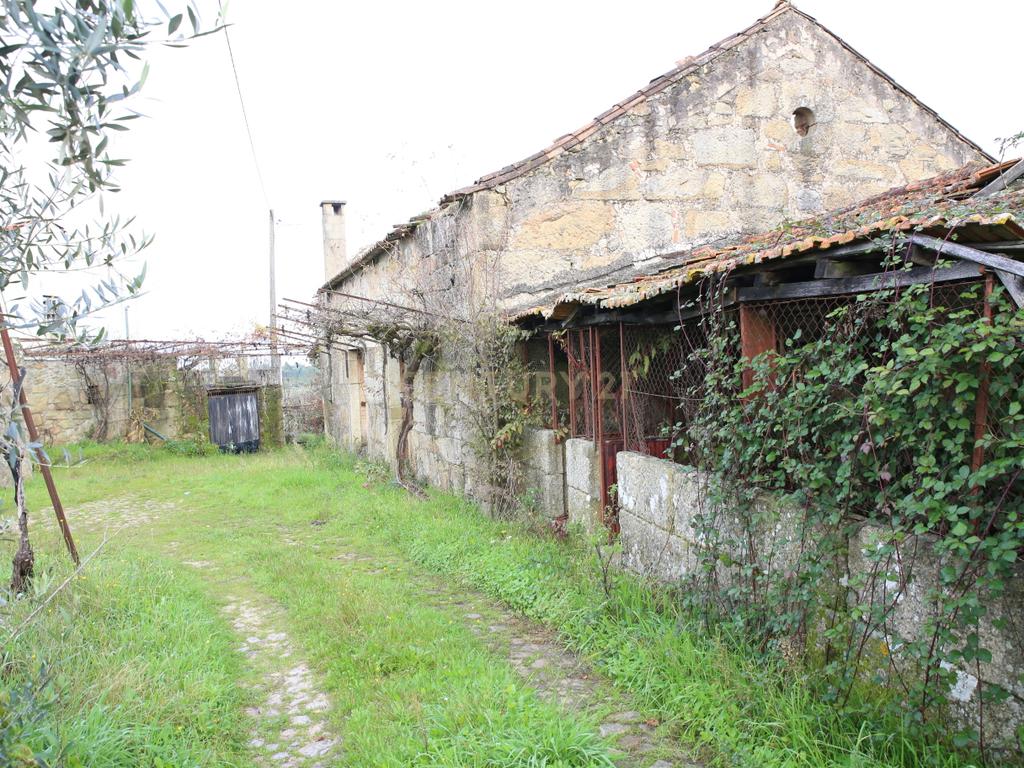 Quinta em Oliveira do Hospital, com 60000 m2 com casas para recuperar. - Image 2