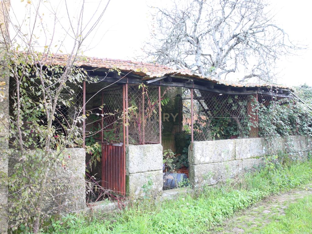 Quinta em Oliveira do Hospital, com 60000 m2 com casas para recuperar. - Image 81